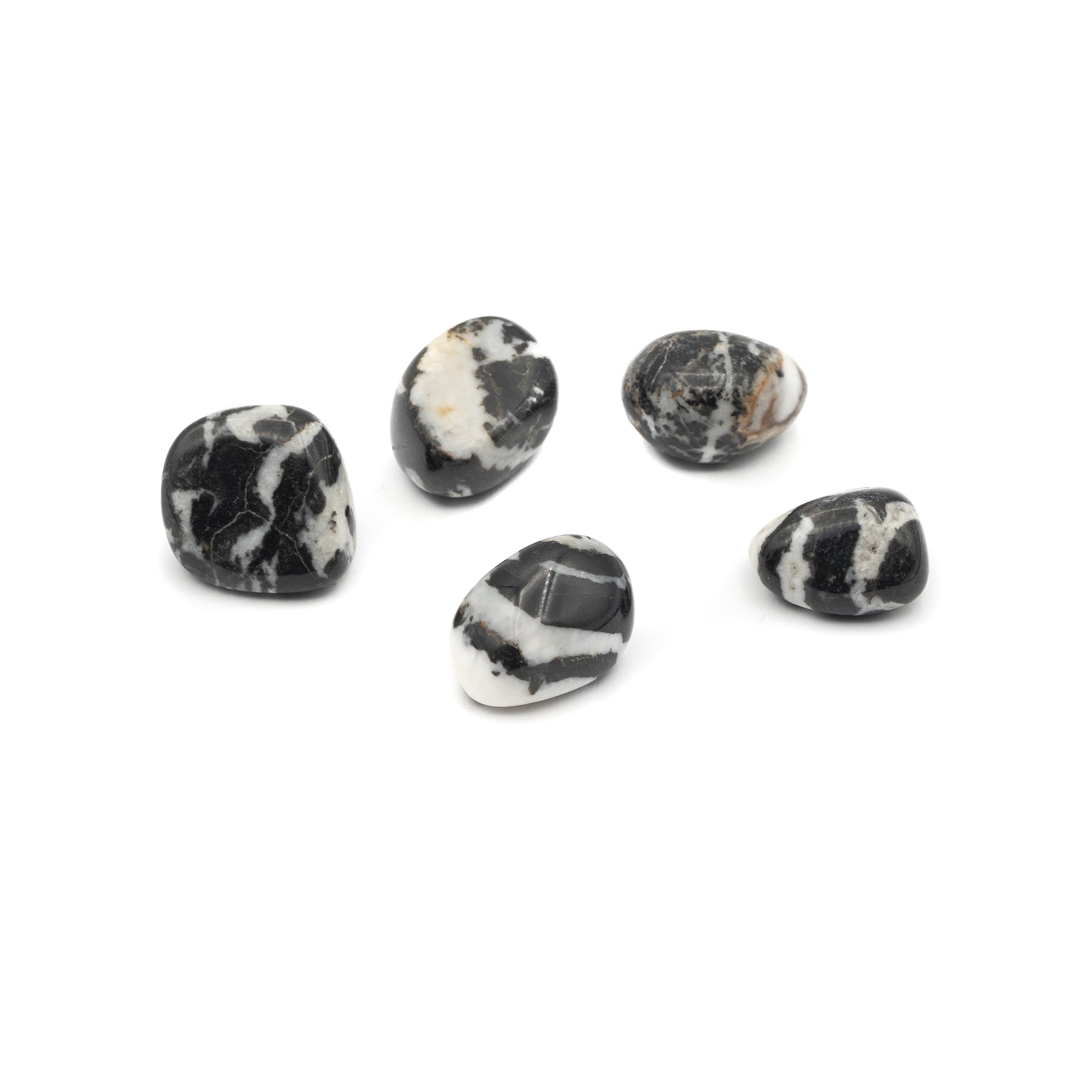 Jasper - Zebra Tumble $3